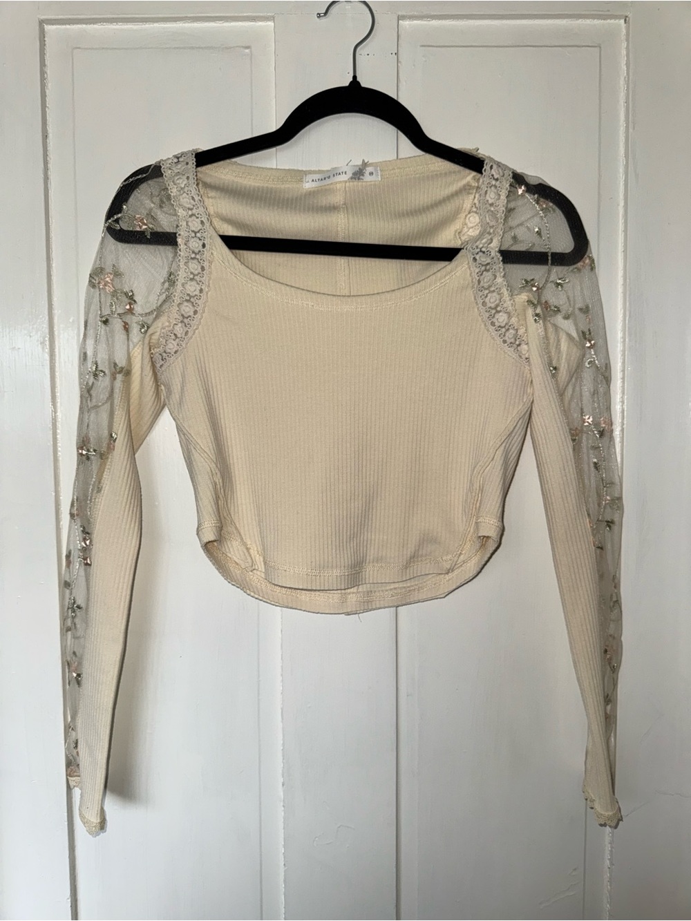 Altar’d State Embroidered Sheer Sleeve Crop Top - Cream